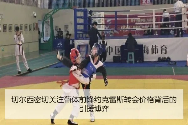 切尔西密切关注葡体前锋约克雷斯转会价格背后的引援博弈
